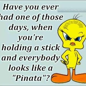 Meet your Posher, Diane